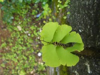 /album/my-personal-website/photo-viligton-dam-056-jpg/